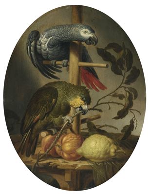 AN AFRICAN GREY AND AN ORANGE WINGED AMAZON PARROT ON A PERCH WITH CITRUS FRUIT by Jacob Fransz (Jacobus) van der Merck - Auction record, sale price, and art valuation. Compare with similar artists and explore comparable artworks.