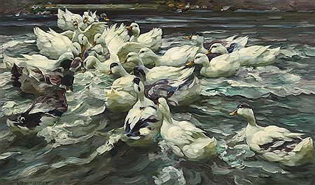 ENTEN IN TEICH (WILDE JAGD)