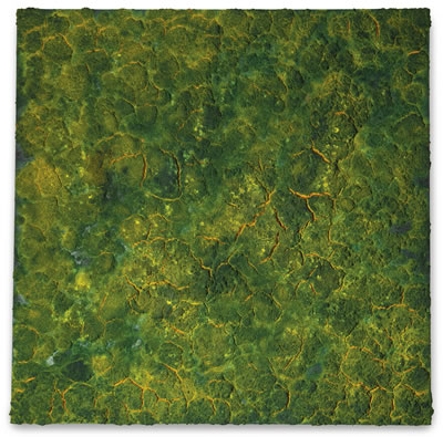 UNTITLED by Bosco Sodi - Auction record, sale price, and art valuation. Compare with similar artists and explore comparable artworks.