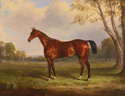 A BAY HUNTER IN A LANDSCAPE