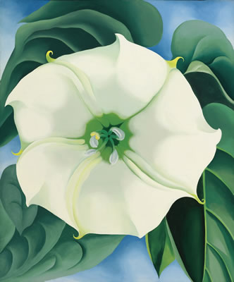 Georgia O'Keeffe - Abstract botanical & landscape