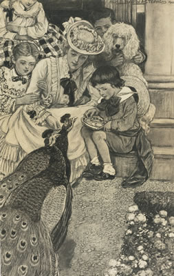 HERE ARE THE PEACOCKS COMING TO BE FED