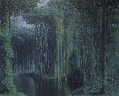 SELVA TROPICAL
