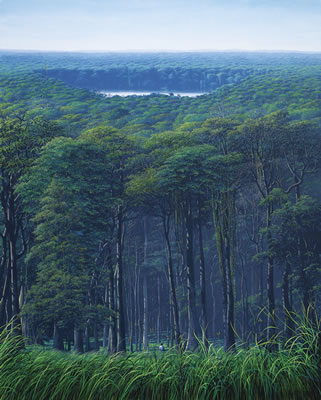 MEDITADOR Y LAGUNA ESCONDIDA EN EL BOSQUE by Tomas Sanchez - Auction record, sale price, and art valuation. Compare with similar artists and explore comparable artworks.