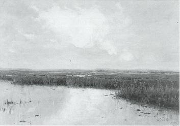 Marsh