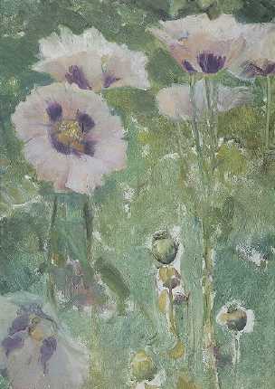 Lavender Poppies