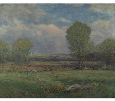 Evening Landscape