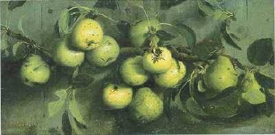 Bough of Pears