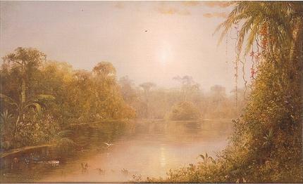 Tropical River Scene