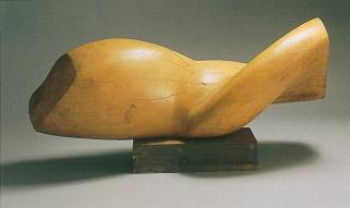 Swamp Pepperwood