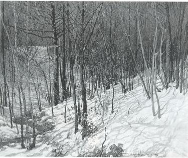 Underwoods--Winter Sunshine