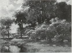Spring Landscape