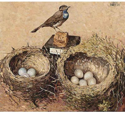 VOGELNESTJES