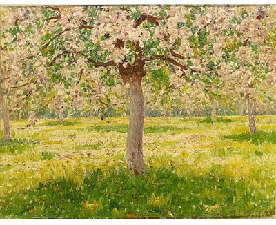 BLOSSOM TREES