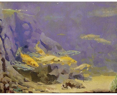 FISH IN AN AQUARIUM by Gerrit Willem Dijsselhof - Auction record, sale price, and art valuation. Compare with similar artists and explore comparable artworks.