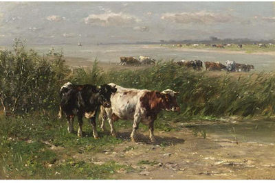 CATTLE IN A FIELD