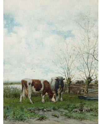 Cows at Pasture