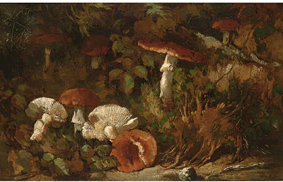 Mushrooms