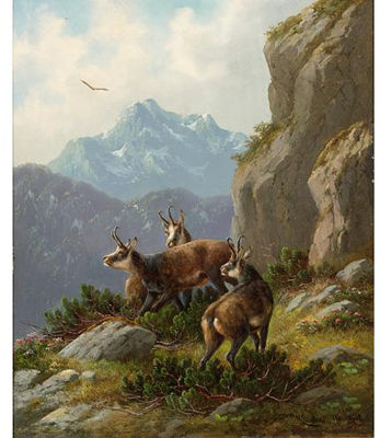 CHAMOIS IN AN ALPINE LANDSCHAPE