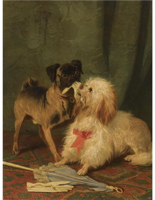 A PUG AND A MALTESE PLAYING TUG-OF-WAR