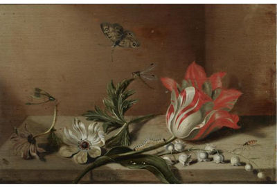 A STILL LIFE WITH A TULIP, ANEMONES, LILY-OF-THE-VALLEY, A CATERPILLAR, A BUTTERFLY AND OTHER INSECTS ON A WOODEN LEDGE