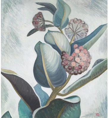 MILKWEED