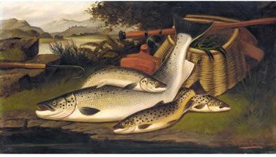 ON THE BANKS OF THE TWEED, SALMON, SALMON TROUT, LAKE TROUT