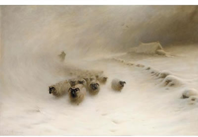 A FLOCK OF SHEEP IN A SNOWSTORM
