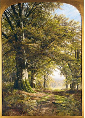 DEER IN A BEECH WOOD