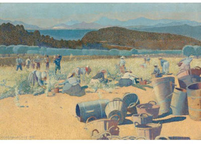 VENDANGES (VAR)