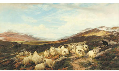 GATHERING THE FLOCKS, LOCH MAREE