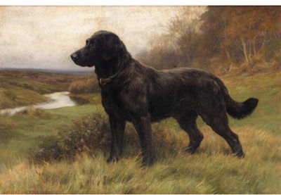 ON ALERT, A BLACK LABRADOR by Herbert Thomas Dicksee - Auction record, sale price, and art valuation. Compare with similar artists and explore comparable artworks.