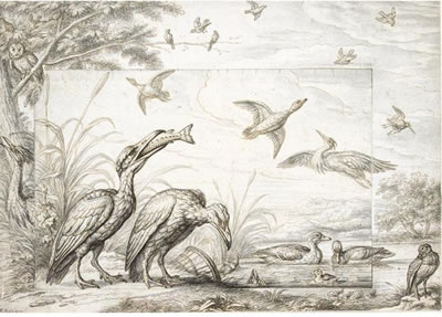 WATERFOWL BY A POND