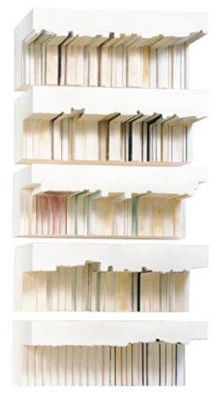 UNTITLED (BOOKSHELVES)