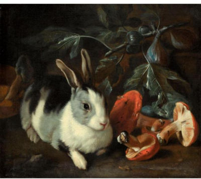 A FOREST FLOOR WITH A RABBIT AND MUSHROOMS