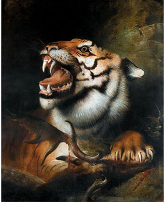 A TIGER WITH ITS KILL
