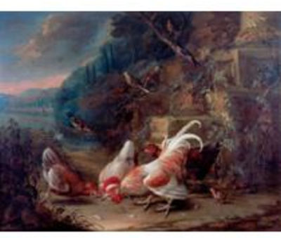 BIRDS AND FOWL AND IN A LANDSCAPE