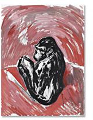 Ape
