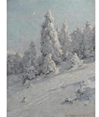 Snodekte Grantraer (Snowy Fir Trees)