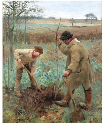PLANTING A TREE