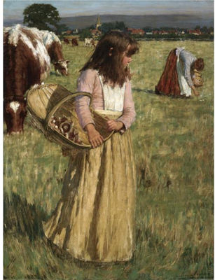 THE MUSHROOM GATHERERS