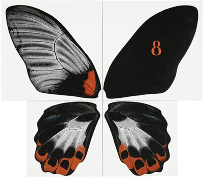 BUTTERFLY WITH RED SPOTS