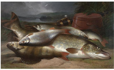 STILL LIFE OF PIKE, GRAYLING AND PERCH