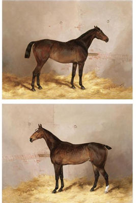 PORTRAIT OF PANTALOON IN A STABLE; PORTRAIT OF ROYAL IN A STABLE (a pair) by Henry Frederick Lucas Lucas - Auction record, sale price, and art valuation. Compare with similar artists and explore comparable artworks.