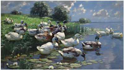ENTEN AM SEEUFER (DUCKS ON A LAKE SHORE)
