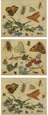 BUTTERFLIES, MOTHS AND INSECTS, WITH SPRAYS OF THISTLE AND BORAGE; BUTTERFLIES, MOTHS AND INSECTS, WITH SPRAYS OF REDCURRANTS AND FORGET-ME-NOT