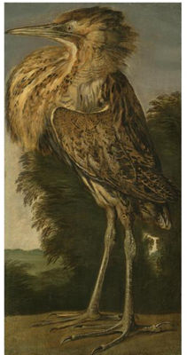 Sample artwork by Cornelis Van Lelienbergh (1626 - 1676), known for painting - View similar artists and auction records