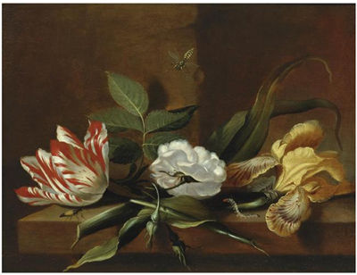 STILL LIFE WITH A YELLOW IRIS, A PARROT TULIP, A WHITE ROSE AND INSECTS ON A WOODEN TABLE LEDGE