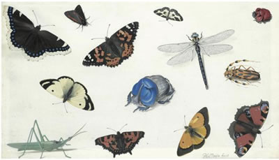 Sample artwork by Pieter Holsteyn II (circa 1614 - 1687), known for painting - View similar artists and auction records