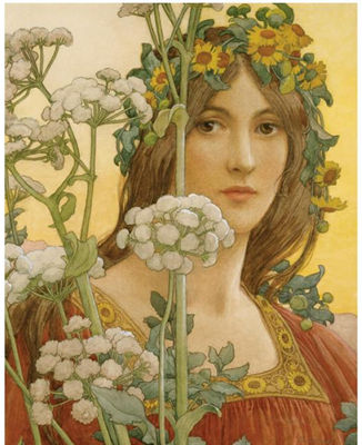 OUR LADY OF THE COW PARSLEY